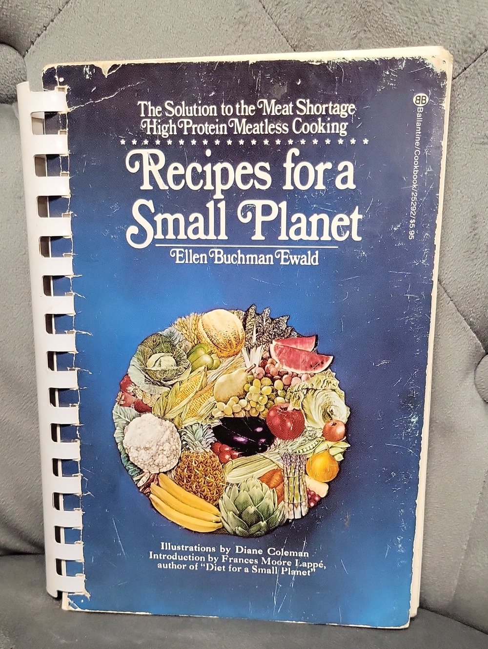 Recipes for a Small Planet - Blue Vegan Cookbook by